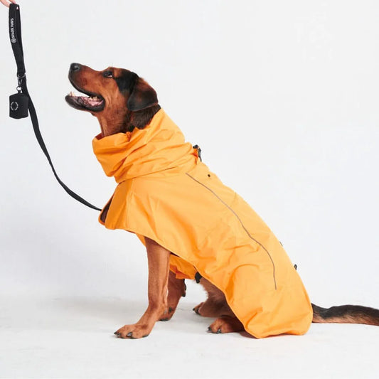 Corgi Raincoat
